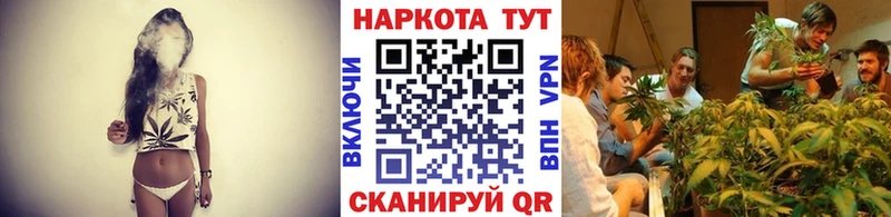 Купить наркотики сайты Димитровград Бошки Шишки  Мефедрон  А ПВП  ГАШ  Cocaine 