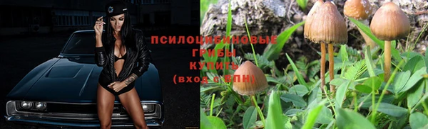 бошки Ельня
