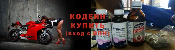 бошки Ельня