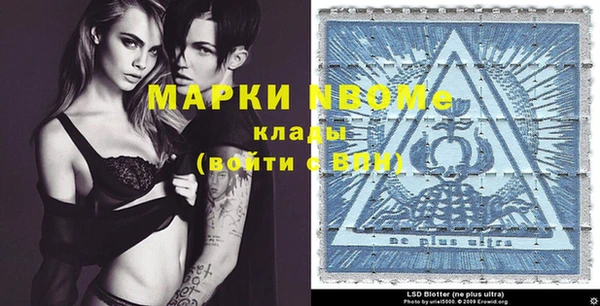 бошки Ельня