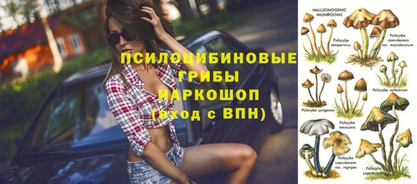 бошки Ельня