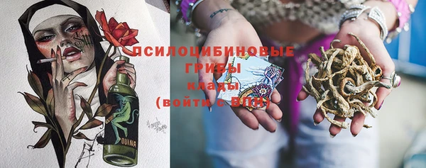 бошки Ельня