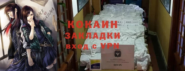 бошки Ельня