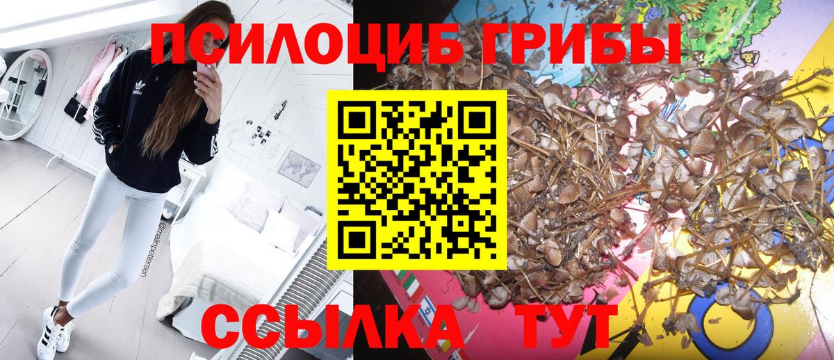 Псилоцибиновые грибы Magic Shrooms Димитровград