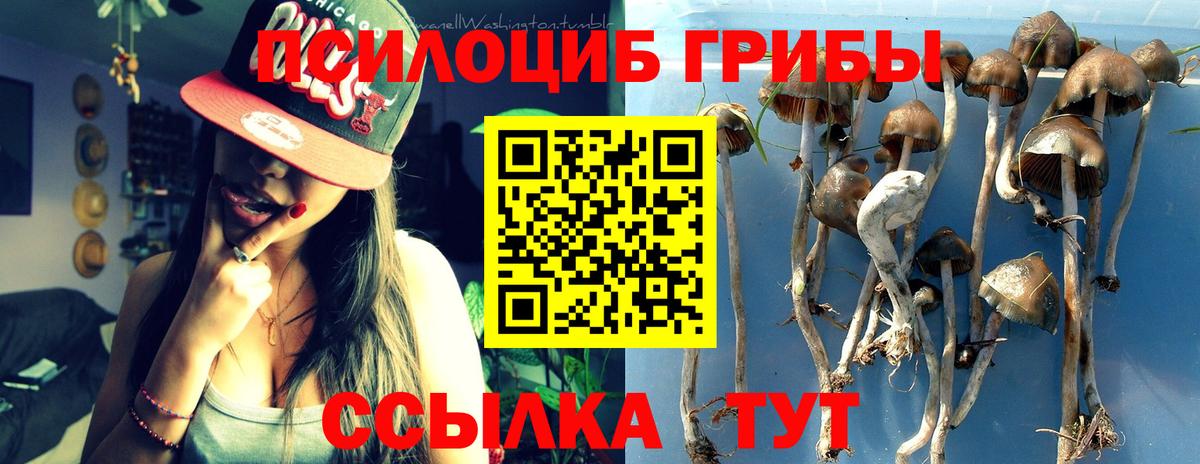 Галлюциногенные грибы MAGIC MUSHROOMS  Вход с VPN  Псилоцибиновые грибы Psilocybine cubensis  что такое   Димитровград 
